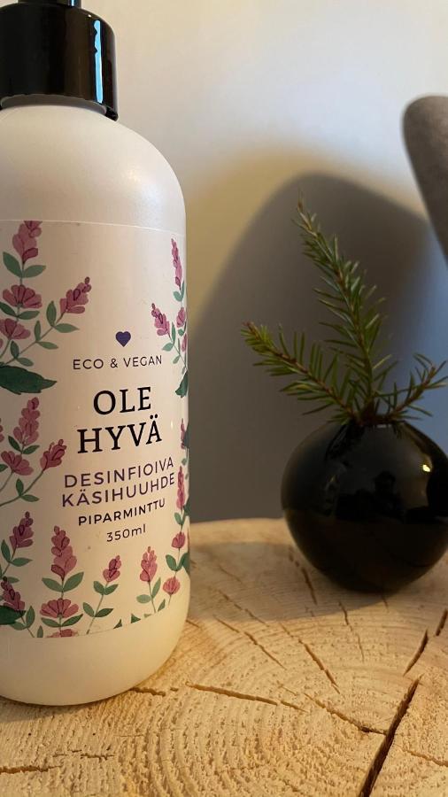 Hotel Taloyllaes, Huonemajoitus Äkäslompolo Zewnętrze zdjęcie